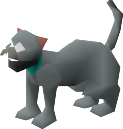 Bones (kitten).png