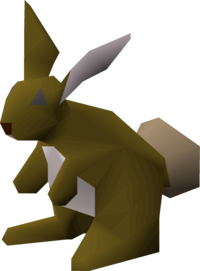 Bunny (1).png