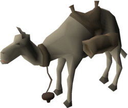 Cart Camel.png