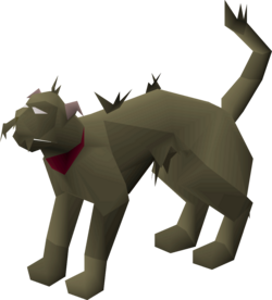 Cat (Meiyerditch, brown).png
