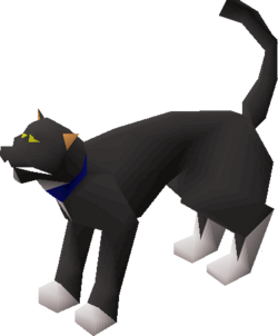 Cat (Wintertodt Camp).png