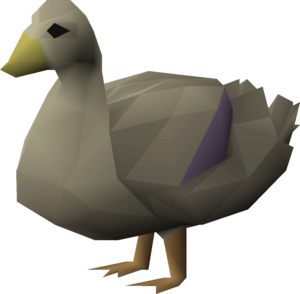 Duck (Common).png