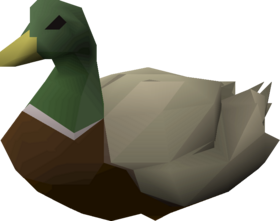 Duck.png
