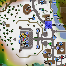 Falador Knight.png