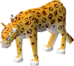 Female amur leopard.png