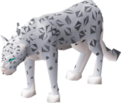 Female snow leopard.png