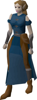 Findis.png