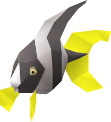 Angel Fish.png