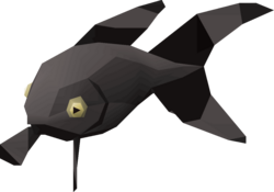 Black Moor Fantail.png