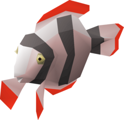 Discus Fish.png