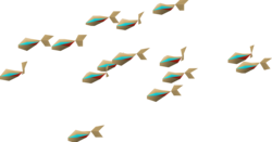 Neon Tetra.png