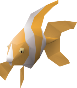 Paradise Fish.png