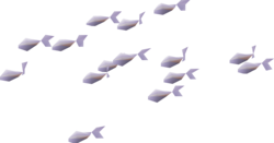 Pearl Danio.png