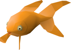 Red Fantail.png