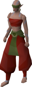Lady Carys Hefin.png
