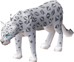 Male snow leopard.png