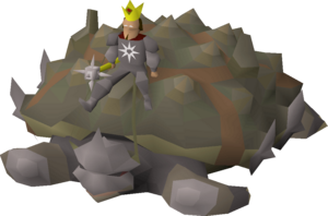 Healthorg and tortoise.png