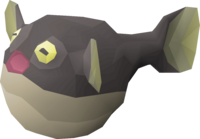 Pufferfish detail.png