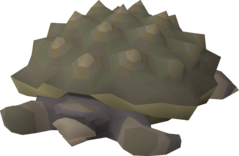 Tortoise.png