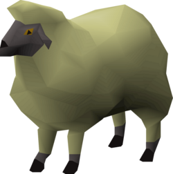 Yellow Sheep.png