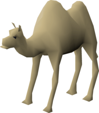 Alice the Camel.png