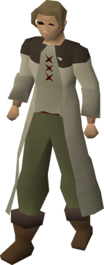 Assistant Serf.png