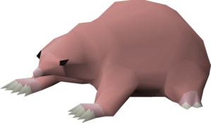 Baby Mole (NPC).png