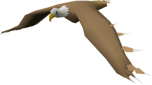 Bald Headed Eagle.png