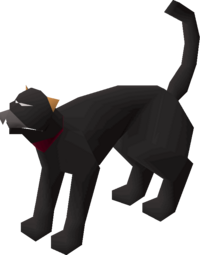 Black Cat.png