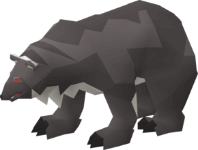 Callisto cub pet.png