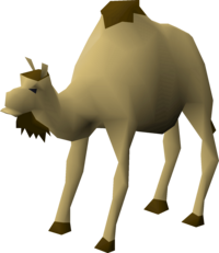 Cam the Camel.png