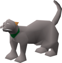 Captain Tom.png