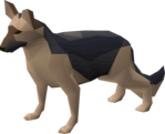 Dog.png