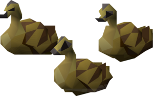 Ducklings.png