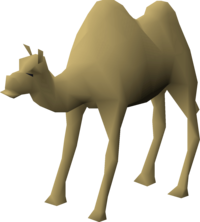 Elly the Camel.png