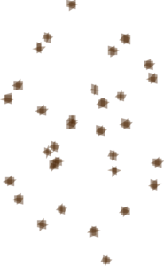 Swarm.png