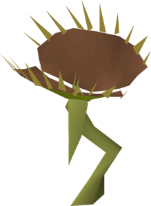 Fly trap.png