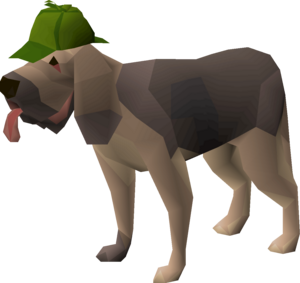 Bloodhound pet.png
