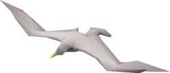Gull