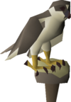 Gyr Falcon.png