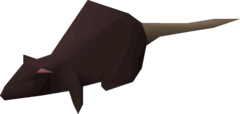 King rat.png