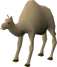 Ollie the Camel.png