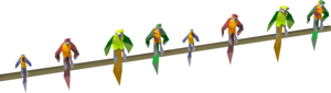 Parrots.png