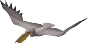 Pelican.png