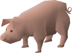 Pig.png