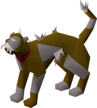 Pusskins.png