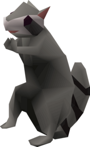 Raccoon.png