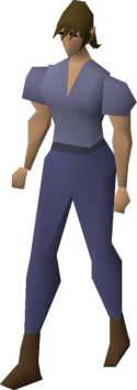 Researcher.png