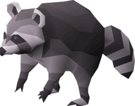 Rocky pet.png