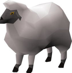Sheep.png